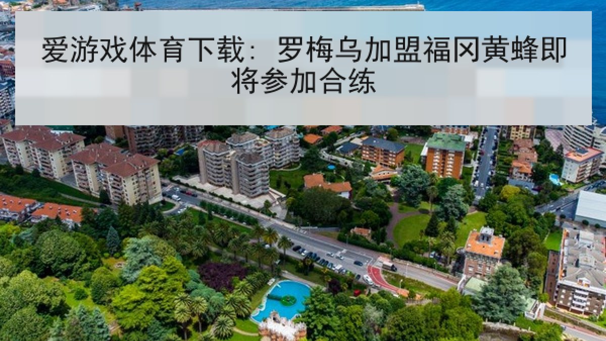 爱游戏体育下载: 罗梅乌加盟福冈黄蜂即将参加合练