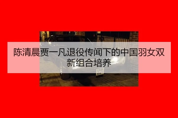 chen-qing-chen-jia-yi-fan-tui-yi-chuan-wen-xia-de-zhong-guo-yu-nv-shuang-xin-zu-he-pei-yang-2-873.jpg
